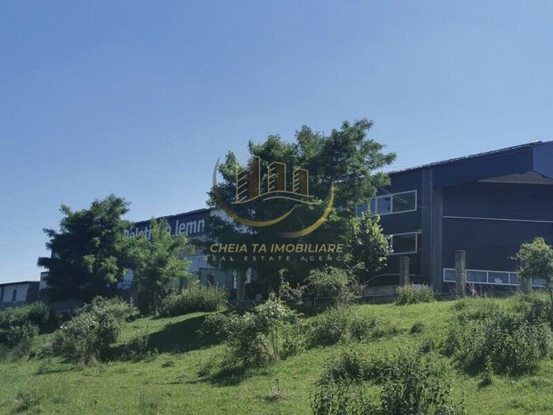 Cluj-Napoca, spatiu depozitare/productie/servicii.